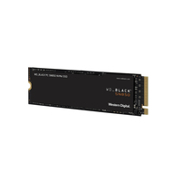 Western Digital 1