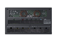 Sea Sonic 10