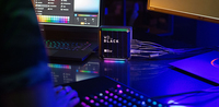 Wd_black 1