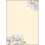 Sigel - Sigel DP904 Knstler Papier (DP904)
