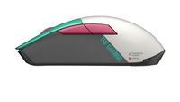 Asus 8