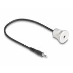 Delock - DeLOCK 88188 cable de audio 0,3 m 3,5mm Negro, Plata