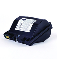 Ricoh 1