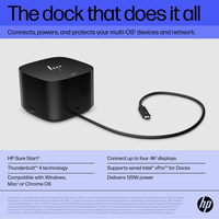 Hp Inc 10