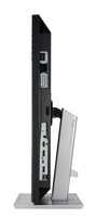 Asus 12
