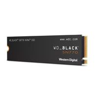 Western Digital 2