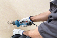 Bosch 6