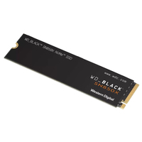 Western Digital 2