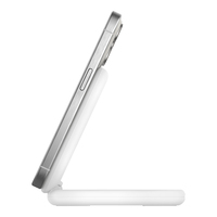 Belkin 1