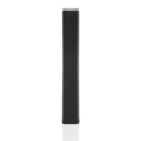 Sandisk Professional 2