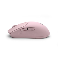 Hp Consumer. 12