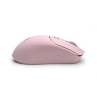 Hp Consumer. 13