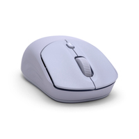 Hp Consumer. 13