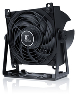 Noctua 1