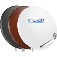 Schwaiger 1