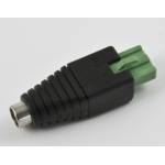 Synergy 21 Led - zub Hohlbuchse mit 2 poligen Stecker