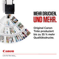 Canon 6