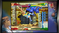 Picchiaduro 3