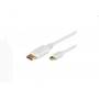 Microconnect - - DisplayPort-Kabel - Mini DisplayPort (M) zu DisplayPort (M) - 2,0m - wei (DP-MMG-180M)