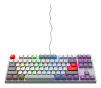 &nbsp;"Cherry-CHERRY K4V2 RGB Tenkeyless Retro edition, Mechanical gaming keyboard, US -Cherry-Hardware/Electronic"