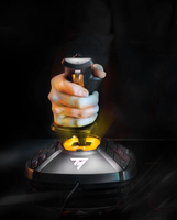 Thrustmaster 10
