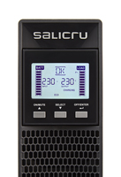 Salicru 3