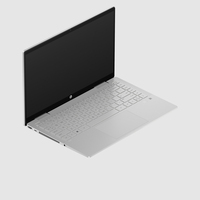 Hewlett Packard 13