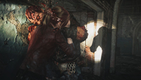 Horror 15