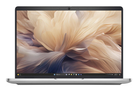 Dell 1