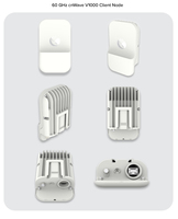 Cambium 1