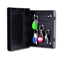 Master Lock 1