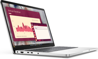 Dell 1