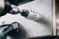 Bosch 6