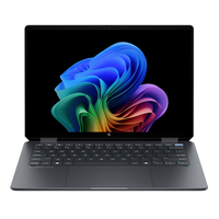 Hewlett Packard 13