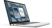 Dell 1