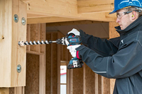 Bosch Powertools 4