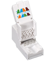 Wentronic Goobay Cat 6 Keystone Rj45 Jack, Utp Ungeschirmt,  1