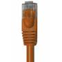 Wentronic - Goobay - Patch-Kabel - RJ-45 (M) - RJ-45 (M) - 50cm - UTP - CAT 6 - gepresst - hellbraun (95879)
