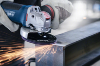 Bosch 4