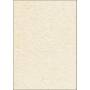 Sigel - Sigel Structure Paper DP605 - Doppelseitiges Pergamentpapier - Champagnerfarben - A4 (210 x 297 mm) - 90 g/m2 - 100 Blatt (DP605