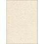 Sigel - Sigel Textured Paper DP655 - Strukturiertes Papier - Champagnerfarben - A4 (210 x 297 mm) - 200 g/m2 - 50 Blatt (DP655)