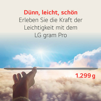 Lg 13