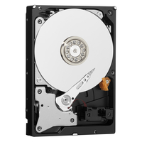 Western Digital 12