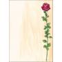Sigel - Sigel Design Paper Rose Bloom - Motiv-Papier - A4 (210 x 297 mm) - 90 g/m - 25 Blatt (DP695)