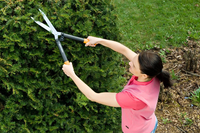 Fiskars 3