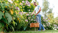 Bosch Powertools 4