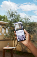 Tcl Mobile 23