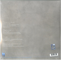 SONGS OF EXPERIENCE (LTD. BLUE 2LP) 2