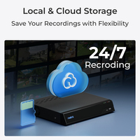 Reolink 11