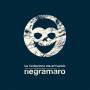 Negramaro - La Rivoluzione Sta..